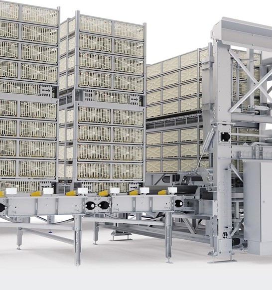 poultry atlas live bird handling system