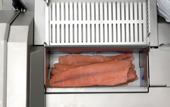 TREIF Dicing Salmon Intake