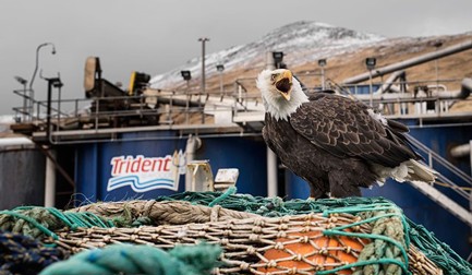 Trident Seafoods: procesamiento más inteligente con Innova