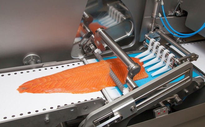 Salmon slicer equipment