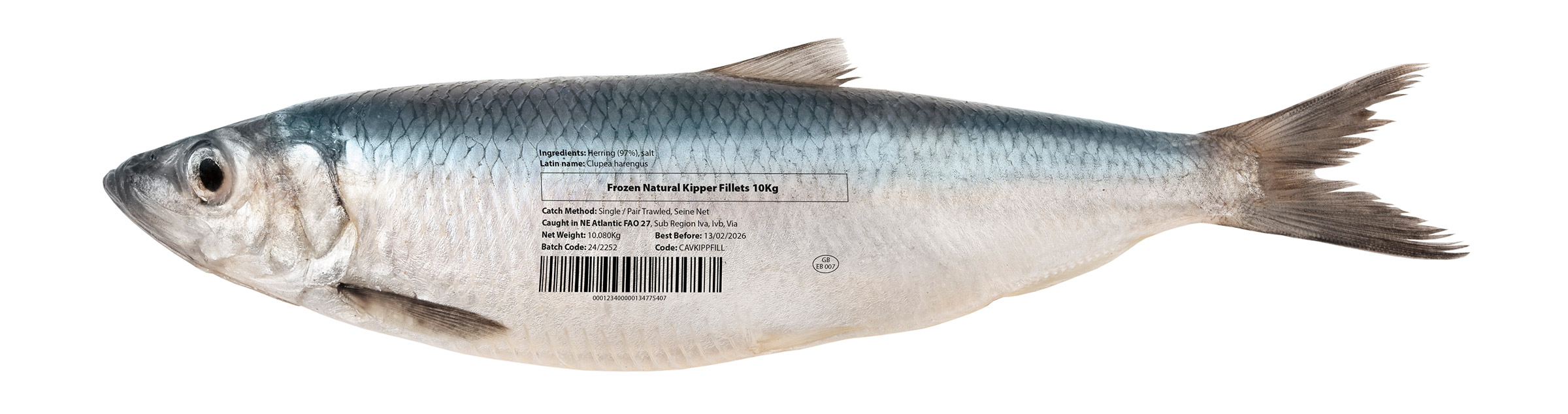 Kipper Herring Lable Traceability