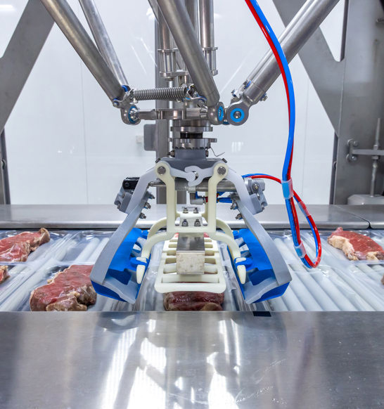 RoboBatcher robotic arm gently picking up two prestyled boneless pork fillets to place into thermoformer pack with consistent and precise alignment