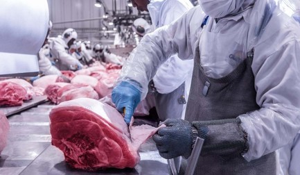 En asociación con el mayor procesador de carne de cerdo en Brasil