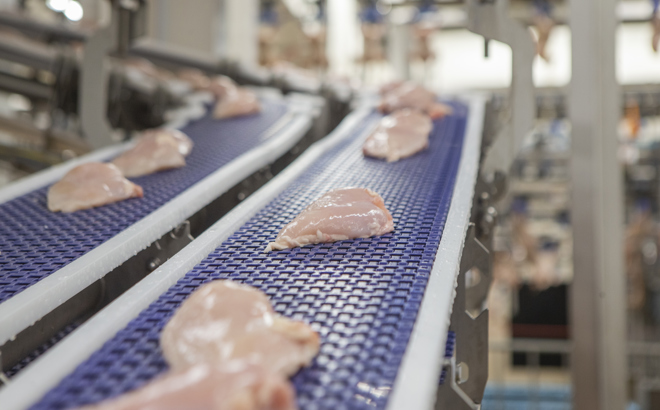 X Ray Systems Automate Food Inspection To Find Contaminants In Food