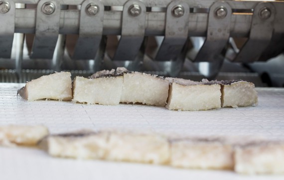 StripCutter for salted cod portioning