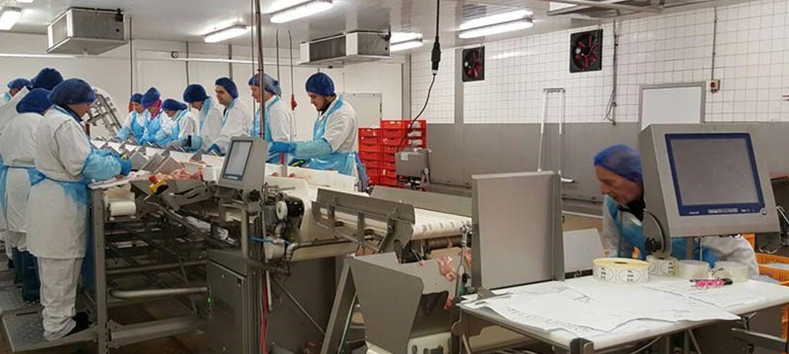 Brabant Meat Production