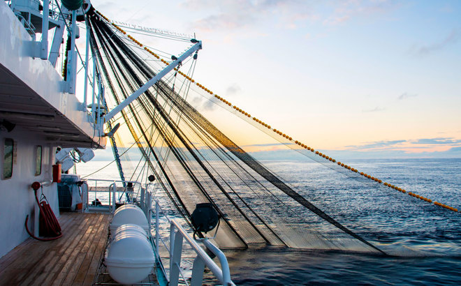 Onboard fish processing fishing vessel