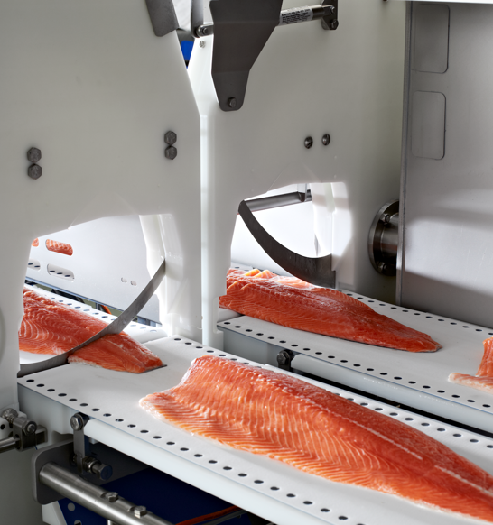 I-Cut_610_cutting_salmon.png