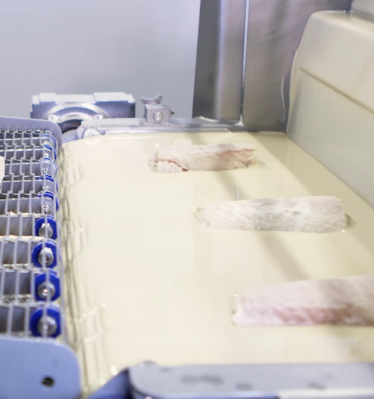 Applying batter and flour to whitefish fillets with the Active Flour Applicator