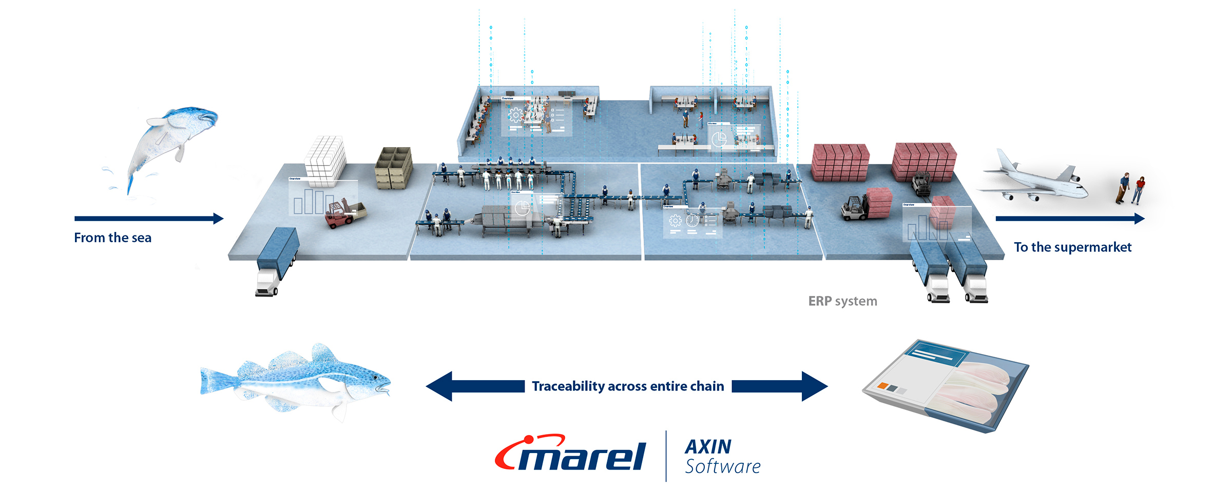 Traceability From Sea To Supermarket Axin Software Infographic