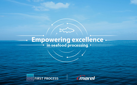 Marel Mmc First Process Collaboration