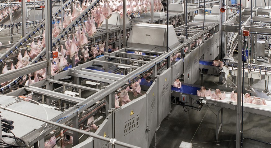 Turkey Processing Cut Up Line