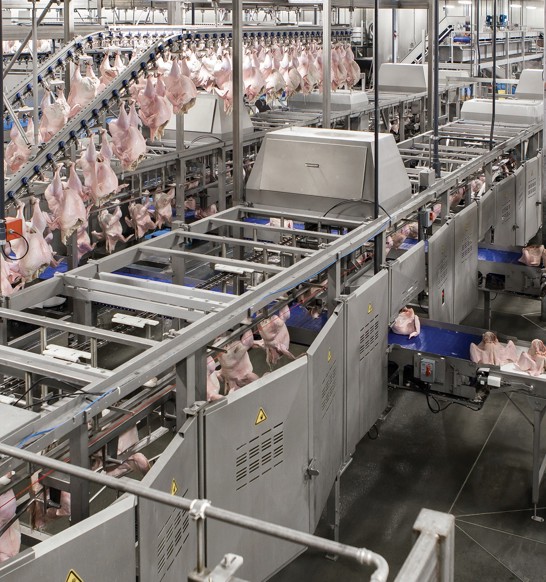 Turkey Processing Cut Up Line