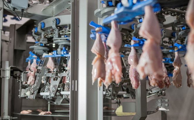 Poultry processing products and solutions