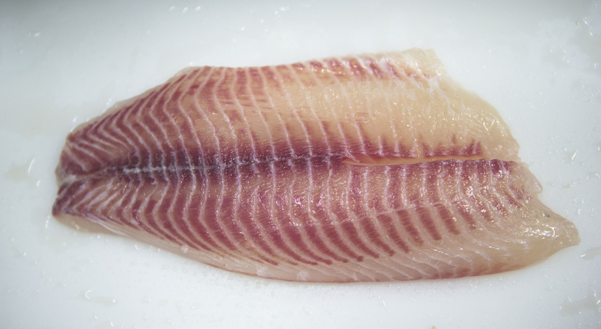 Tilapia Fillet