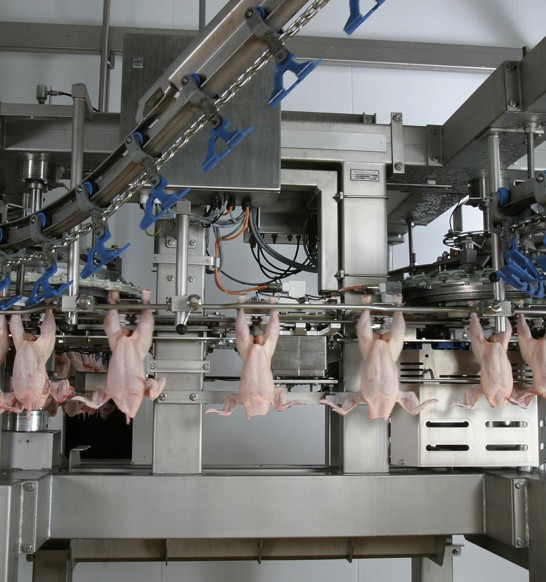 Transfer Cs Broiler