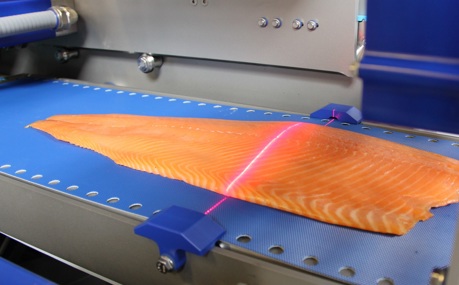 Salmon Scanning Slicing