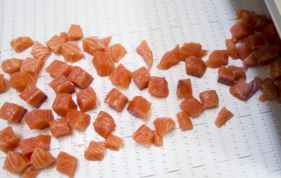 StripCutter salmon dices