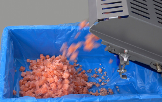 TREIF Dicing Fish Salmon Outfeed