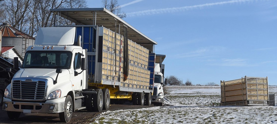 smartstack-loading-truck-poultry.jpg