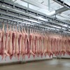 Transportation and cooling of pig carcasses